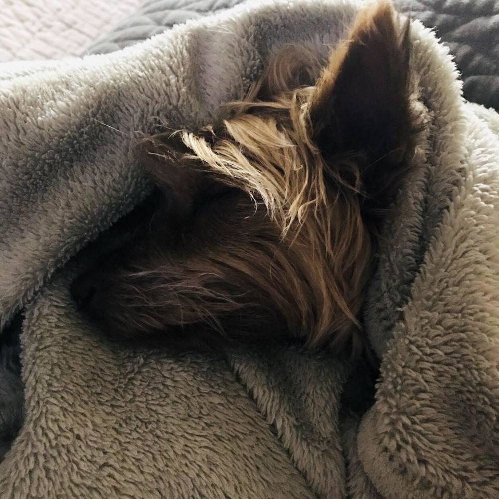 Meet your Posher, April